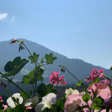 Dorfjuwel Alpbachtal * ריית אים אלפבכטל