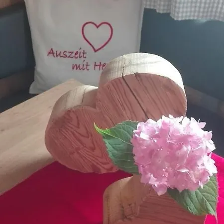 Dorfjuwel Alpbachtal ריית אים אלפבכטל